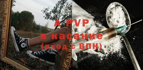 прущие грибы Валуйки