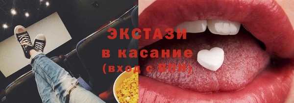 индика Няндома