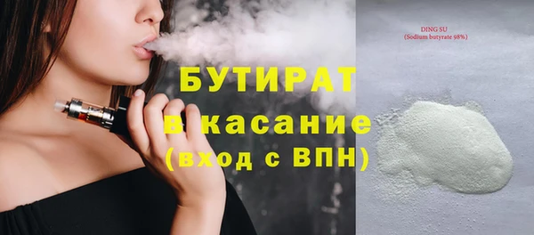 индика Няндома