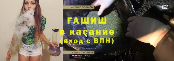 индика Няндома