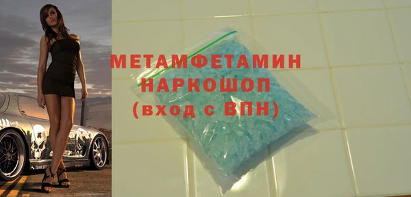 индика Няндома