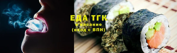 индика Няндома