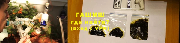 индика Няндома