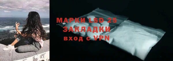 индика Няндома