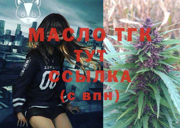 индика Няндома