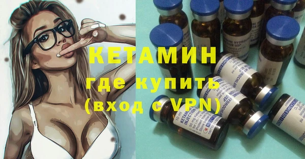 индика Няндома
