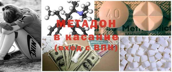 индика Няндома