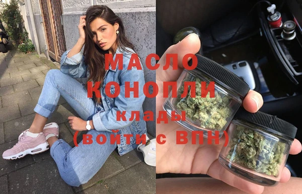 индика Няндома