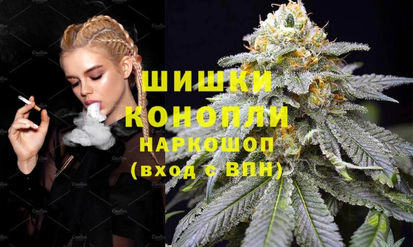 индика Няндома