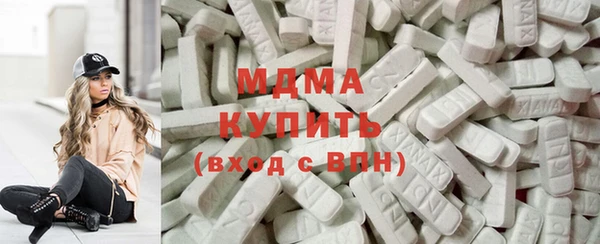индика Няндома