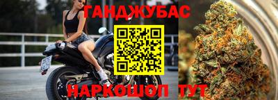 гашик Бийск