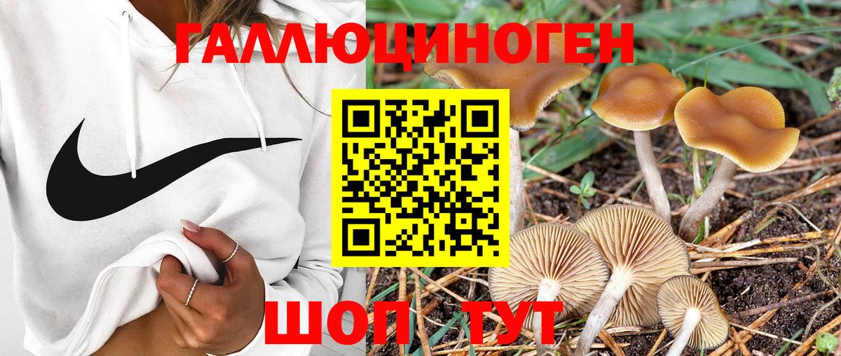 Псилоцибиновые грибы Psilocybine cubensis  Галлюциногенные грибы Psilocybe  Красноармейск  Вход с VPN 