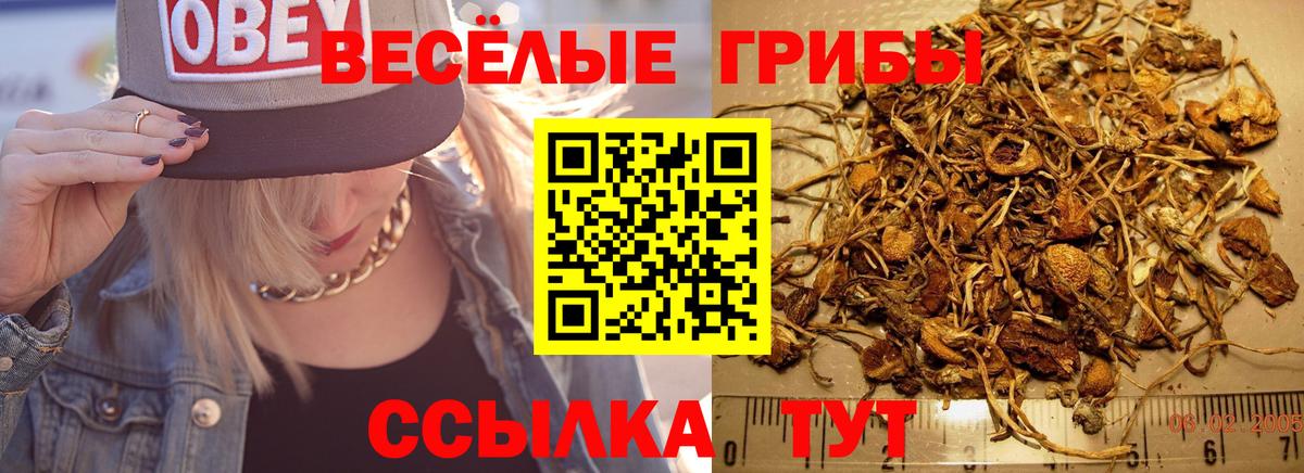 Галлюциногенные грибы мицелий Красноармейск