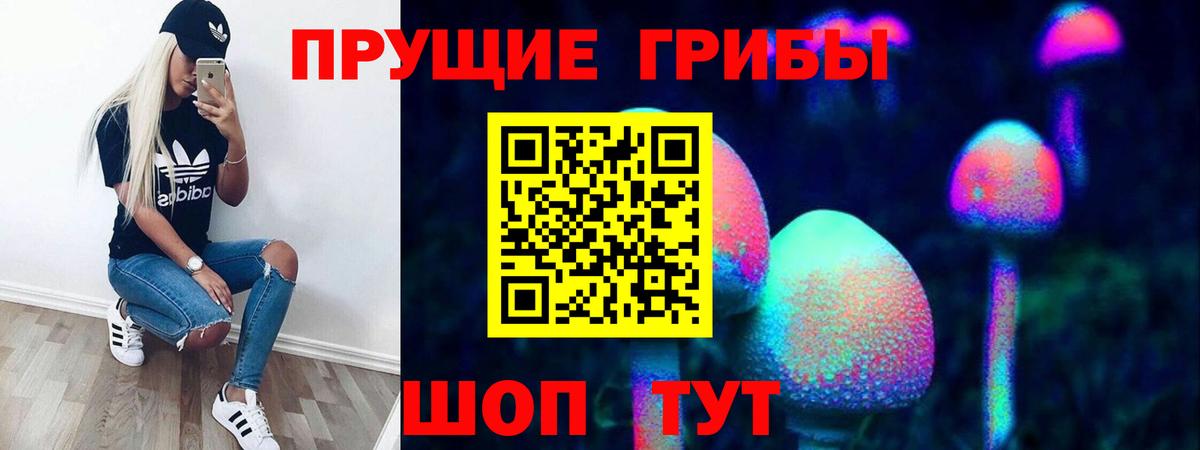 Галлюциногенные грибы Magic Shrooms Красноармейск